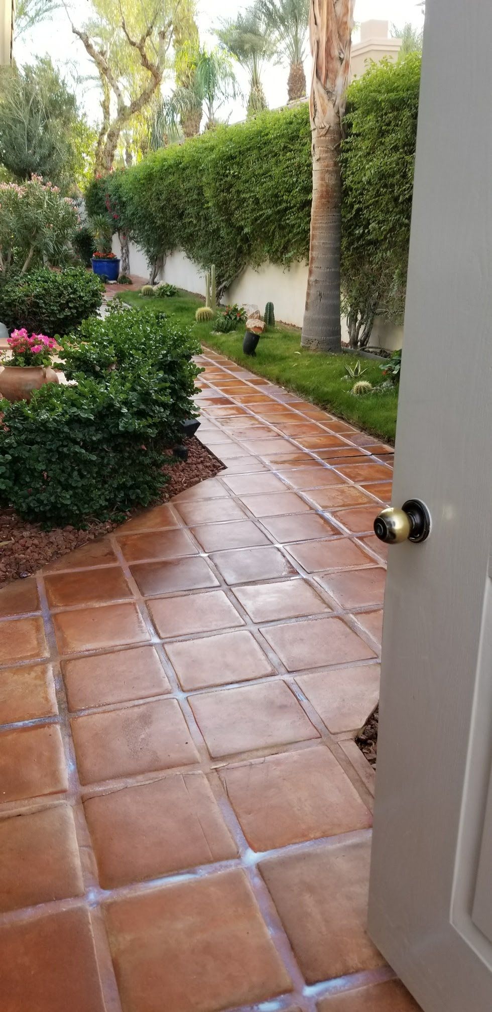 Platinum Restoration project 29